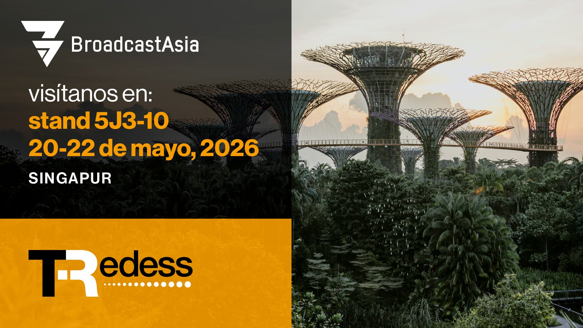 Visita a TRedess na BCA 2026!